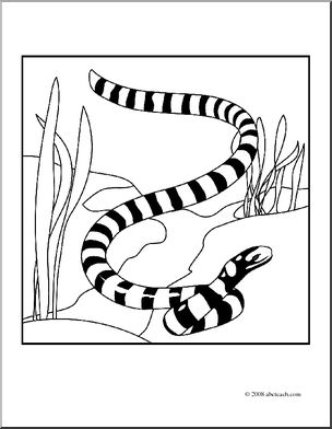 304x392 Clip Art Sea Snake (Coloring Page) I Abcteach