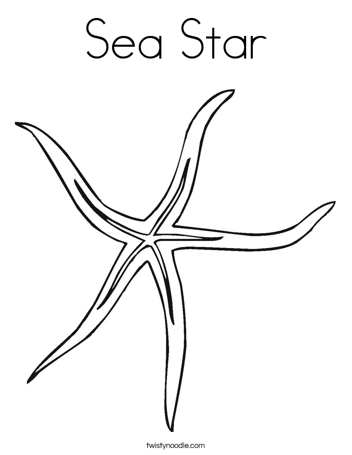 685x886 Sea Star Coloring Page