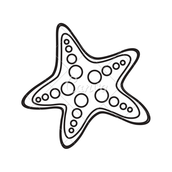 Sea Star Drawing at GetDrawings | Free download