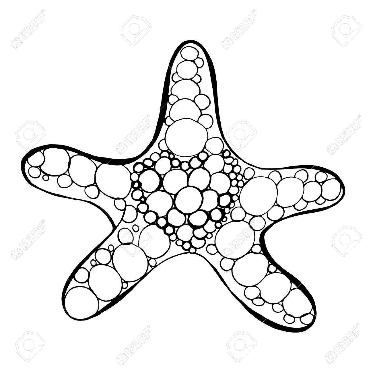 1300x1300 Doodle Drawing Of Sea Star. Vector Illustration Royalty Free
