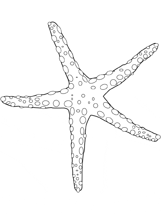 540x720 Seastar Coloring Page