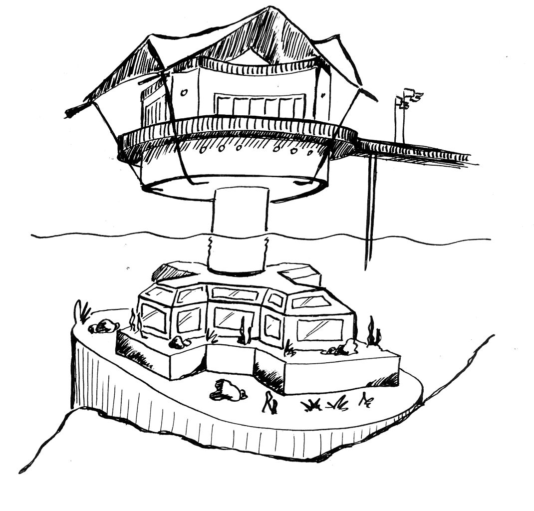 1070x1024 Filered Sea Star Drawing.jpg