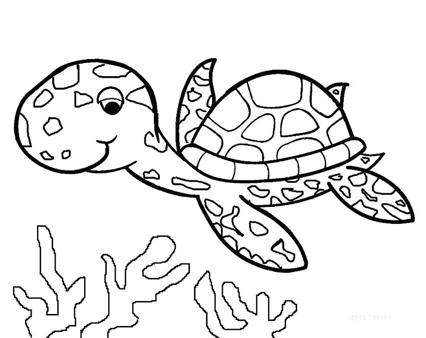 850x675 Turtle Coloring Pages Turtle Coloring Pages Printable Green Sea