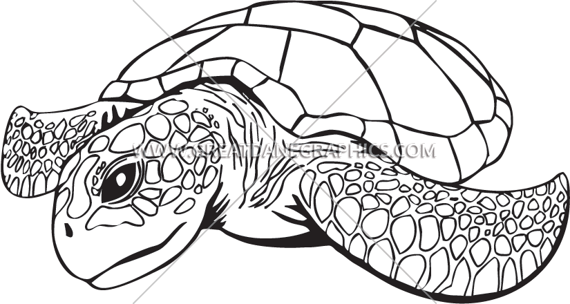 825x440 Sea Turtle Production Ready Artwork For T Shirt Printing