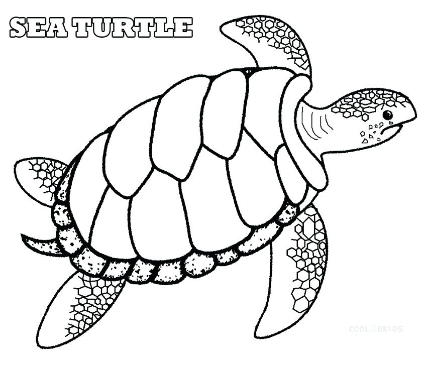 850x731 Turtle Coloring Pages Draw Sea Turtle Coloring Pages Media
