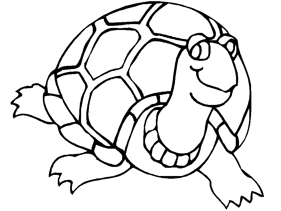 957x718 Innovative Sea Turtle Coloring Page Free Downl