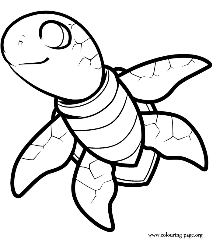 700x808 Sea Turtle Coloring Pages