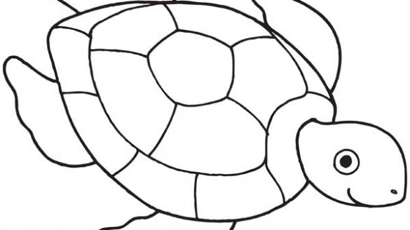 585x329 Sea Turtle Drawing Pictures How To Draw A Step By Of Color We