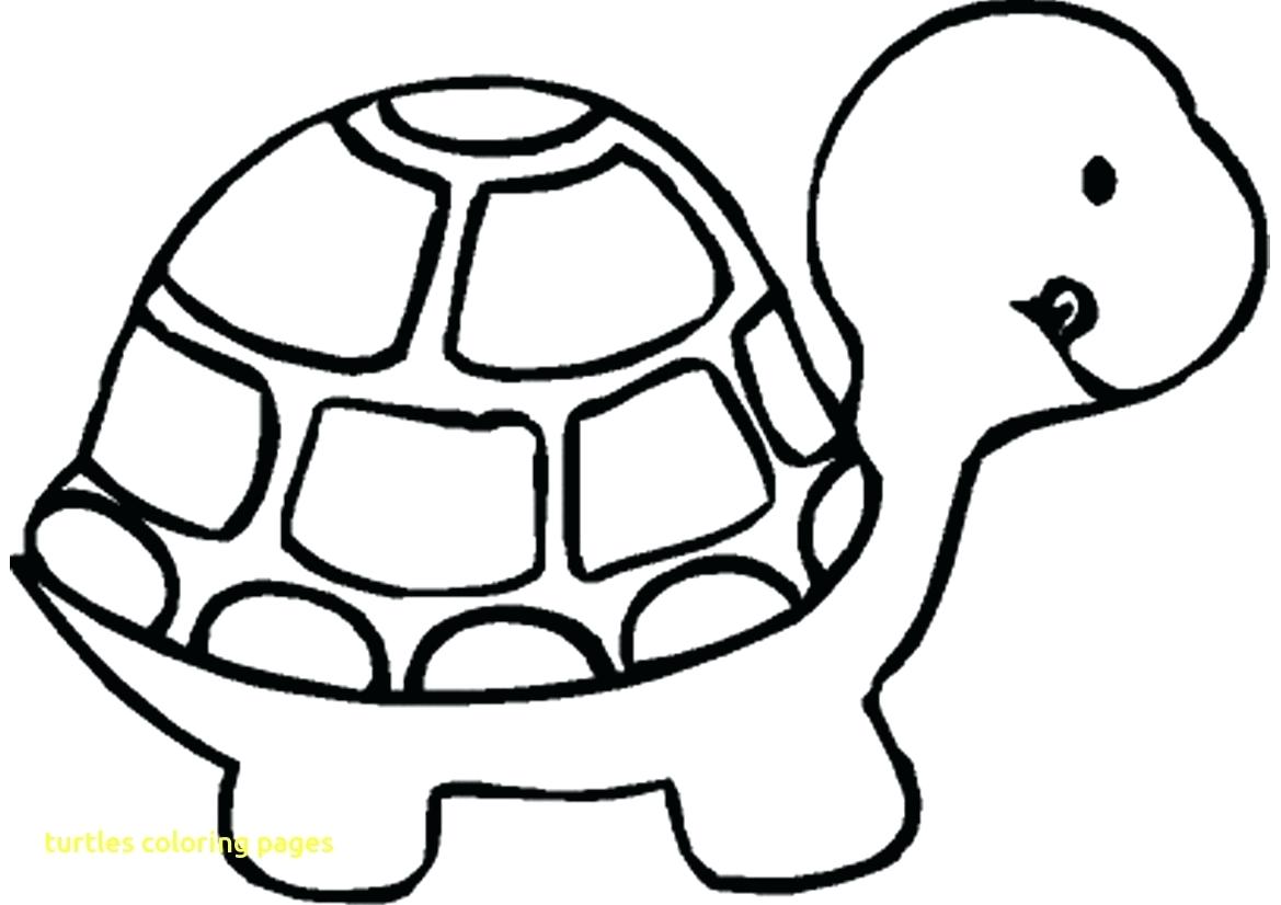 1169x826 Coloring Pages ~ Sea Turtle Coloring Page Super Pages Printable