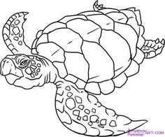 Sea Turtle Drawing For Kids at GetDrawings | Free download