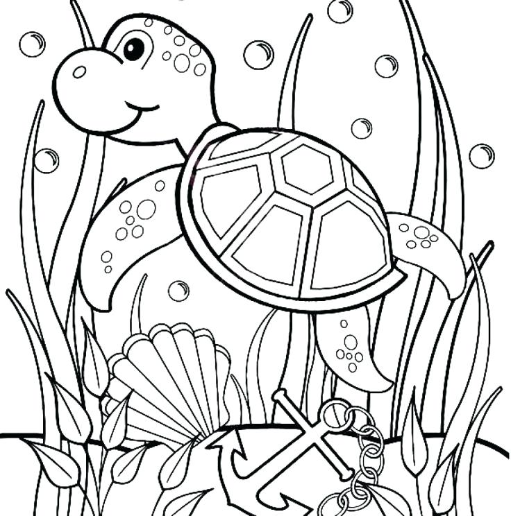 Sea Turtle Drawing For Kids at GetDrawings | Free download