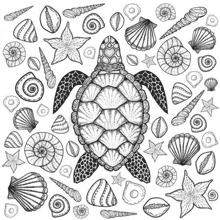 450x450 Sea Turtle In Line Art Style. Hand Drawn Vector Illustration