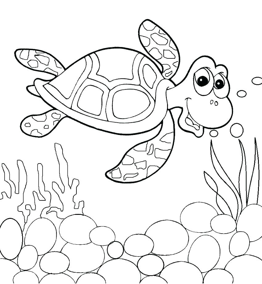 850x924 Coloring Pages Of Sea Turtles