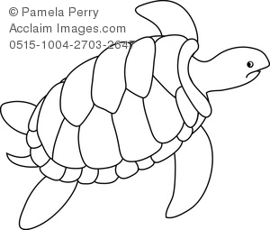 300x255 Line Drawing Of A Turtle Clipart Amp Stock Photography Acclaim Images