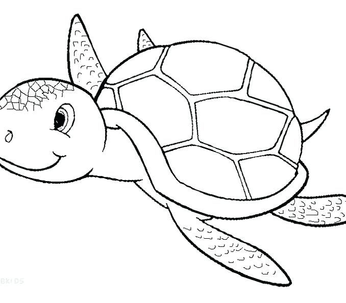 678x594 Coloring Pages Of Sea Turtles Coloring Pages Sea Turtle Coloring