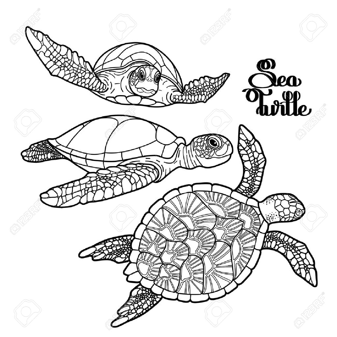 1300x1300 Graphic Hawksbill Sea Turtle Collection Drawn In Line Art Style