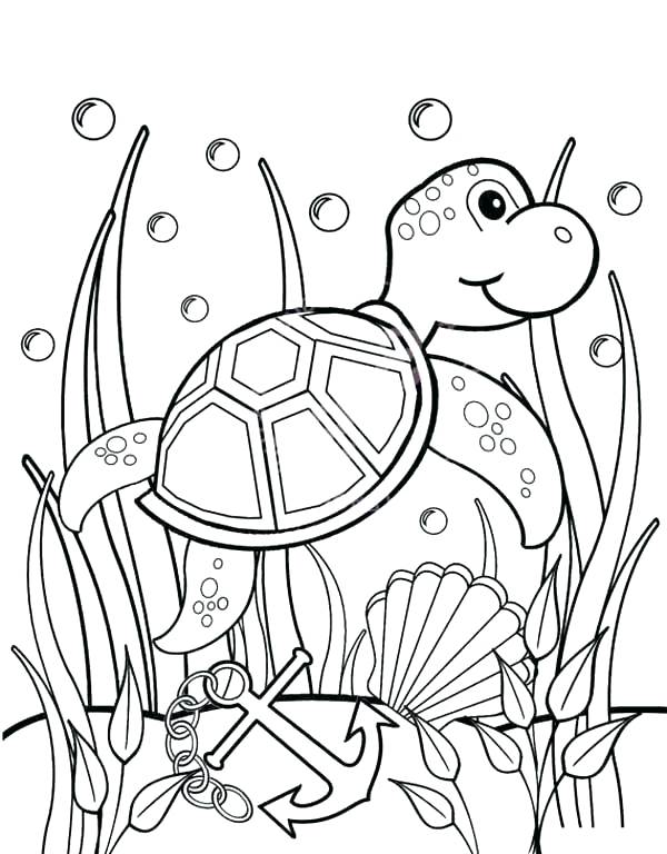 600x768 Coloring Pages Of Sea Turtles