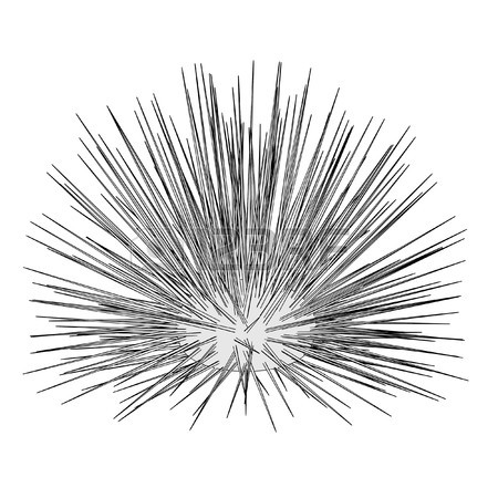 450x450 Cartoon Image Of Sea Urchin Stock Photo, Picture And Royalty Free