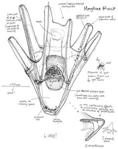 236x298 Purple Sea Urchin