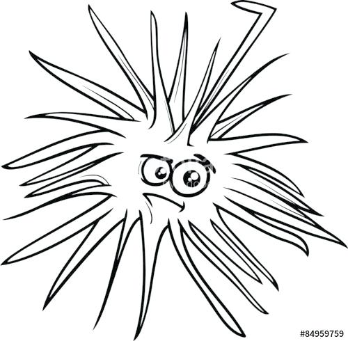 500x490 Sea Urchin Coloring Page Color Pencil Sculptures Inspired By Sea