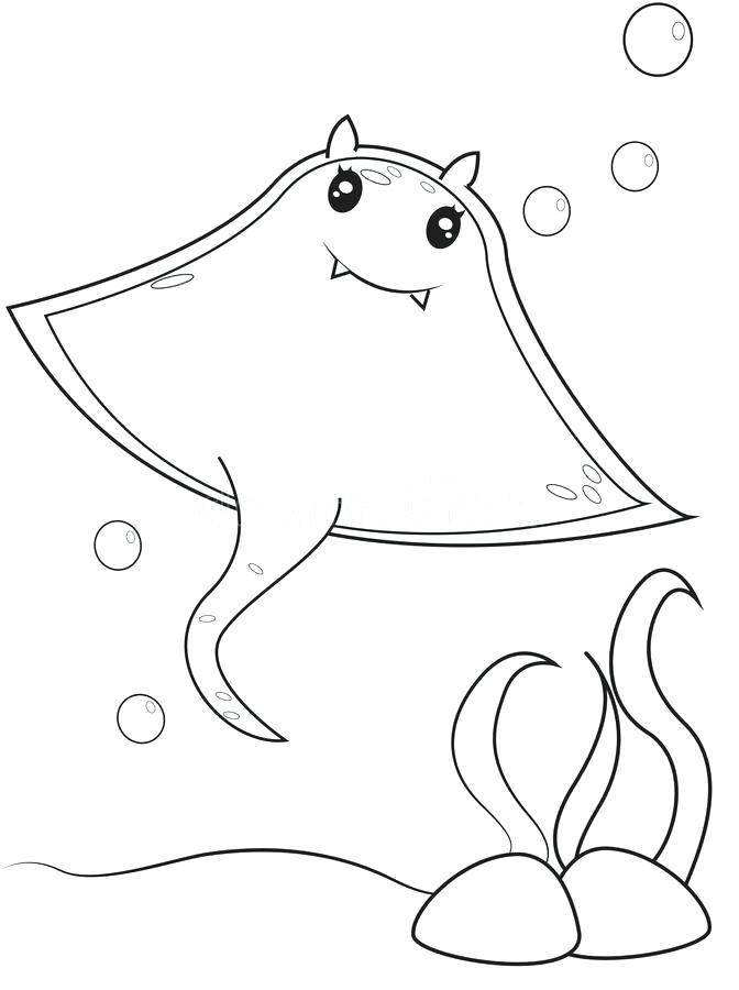 672x900 Sea Urchin Coloring Page Desert Animals Pages Sheet Animal Murs