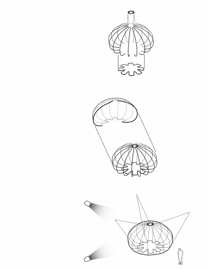 685x887 Urchins Concept