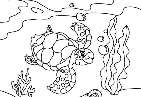 600x415 Sea Turtle Diving Coloring Page