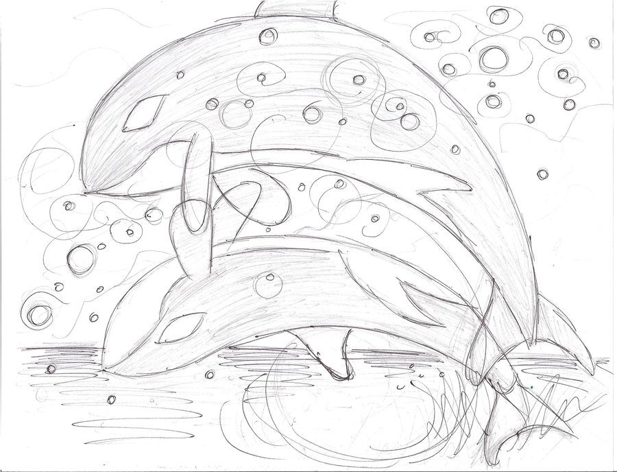 900x688 Seaworld Sketch By Star Sketches