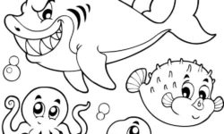 250x150 Sea World Archives