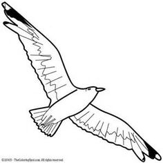236x236 How To Draw A Seagull In Flight, Step By Step. (Add To Picture
