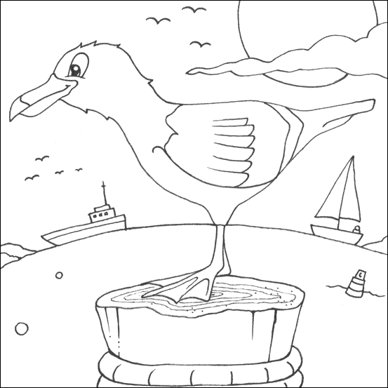 553x553 Seagull Colouring Picture