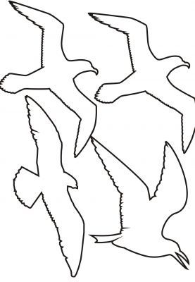 277x400 Seagull Pattern. Use The Printable Outline For Crafts, Creating