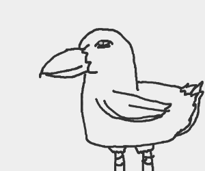 300x250 A Bird Maby A Peacock