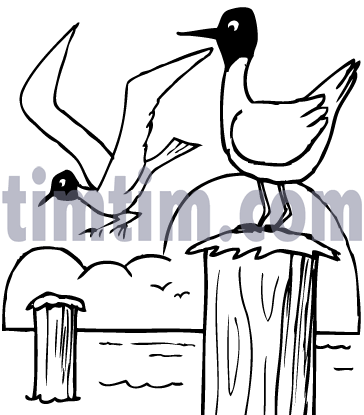 364x415 Free Drawing Of Seagulls Bw From The Category Birds Amp Insects