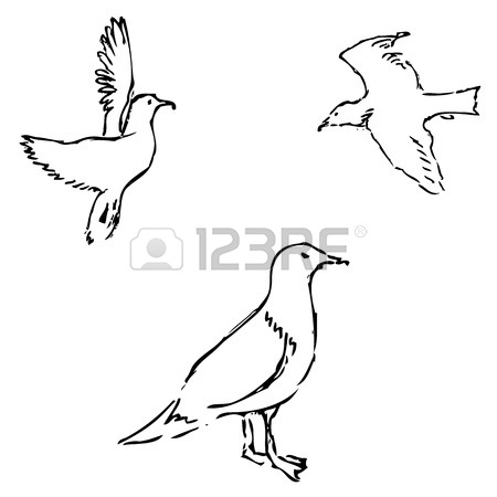 450x450 Hand Drawn Flying Seagulls. Black And White Illustration Sketch