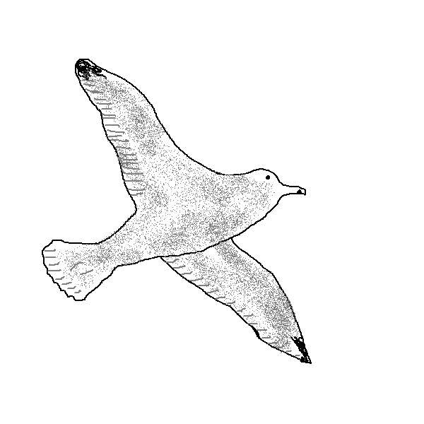 600x600 Online Contest