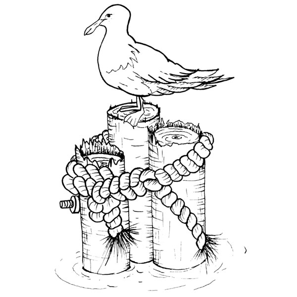 600x600 Purple Daisy Design K 333 Seagull Post