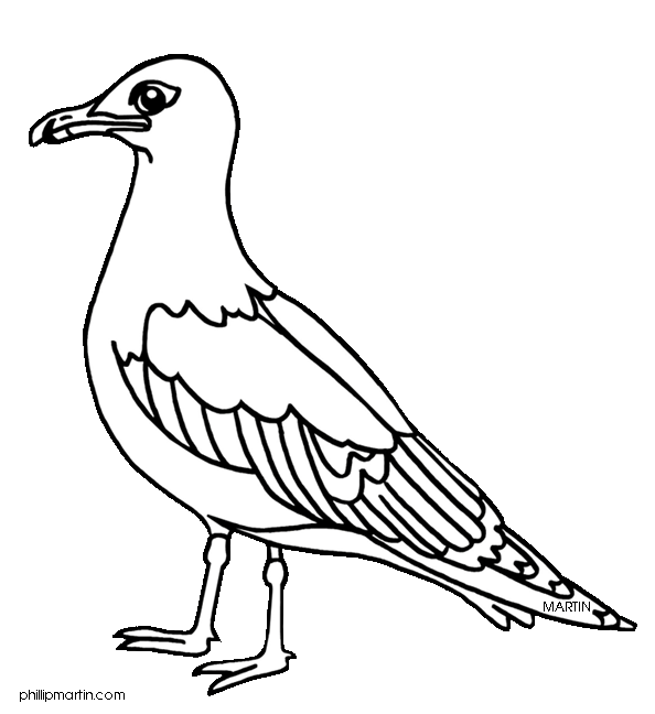 594x648 Seagull Clipart Clipart Panda
