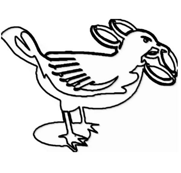 600x573 Seagull Drawing Coloring Page