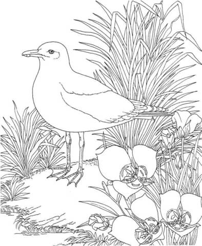 394x480 Seagull In The Garden Coloring Page Free Printable Coloring Pages