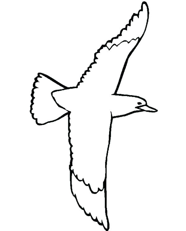 600x745 Seagull Coloring Page