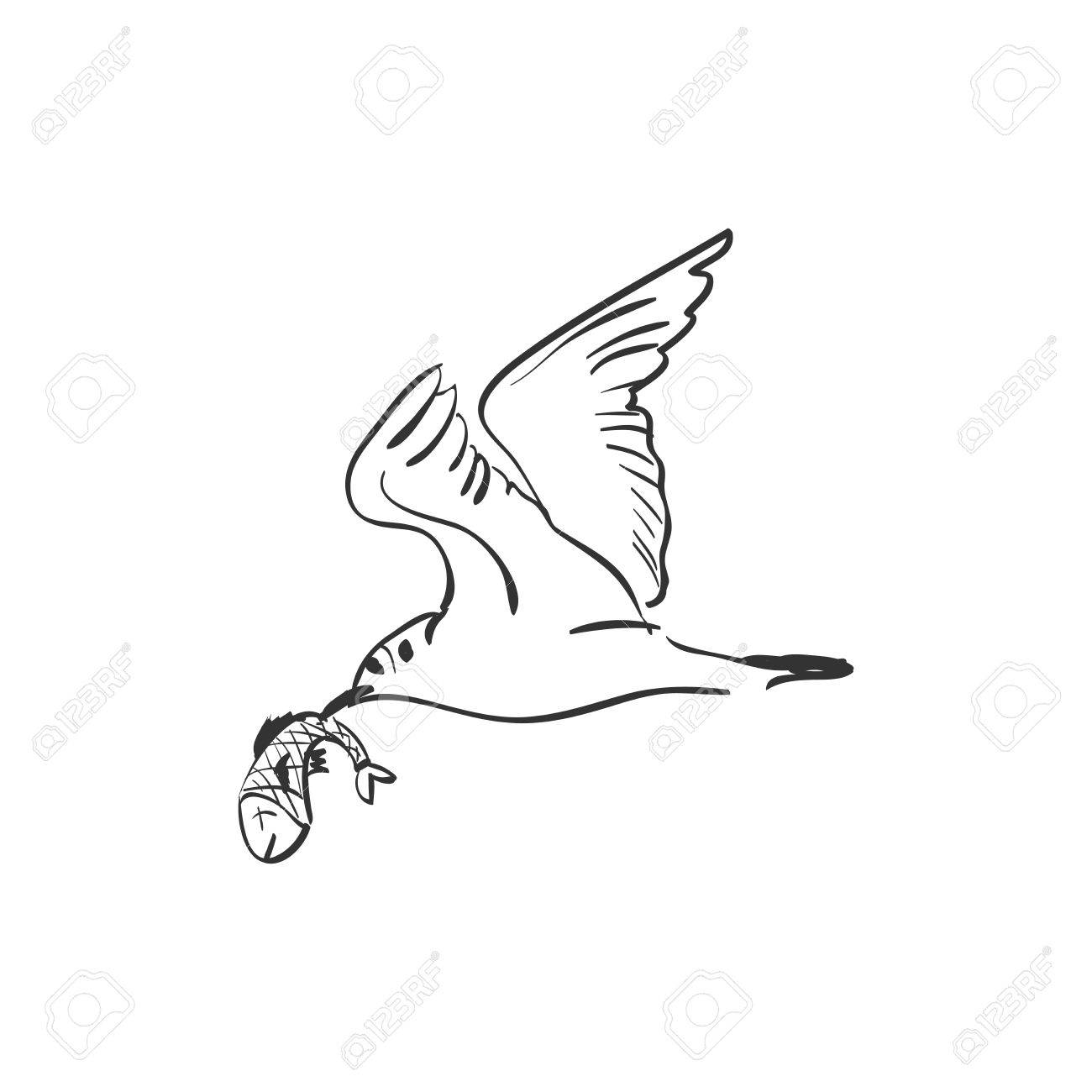 1300x1300 Doodle Seagull With Fish In Mouth Vector Illustration Royalty Free