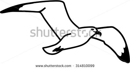 450x241 Seagull Clipart Drawn