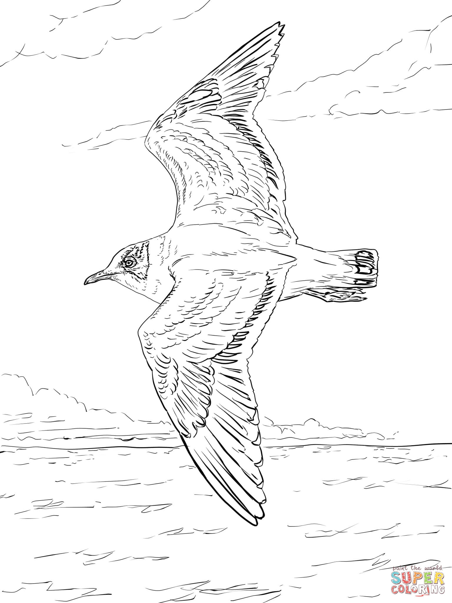 1536x2048 Seagulls Coloring Pages Free Coloring Pages