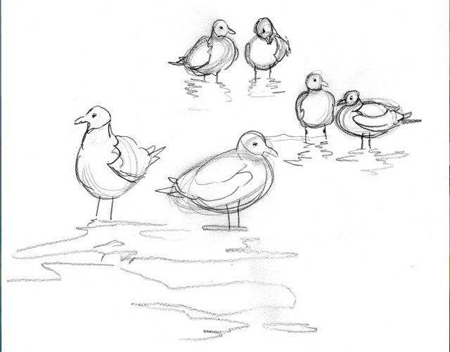640x501 Sketch For The Laughing Gulls Seascape Painting