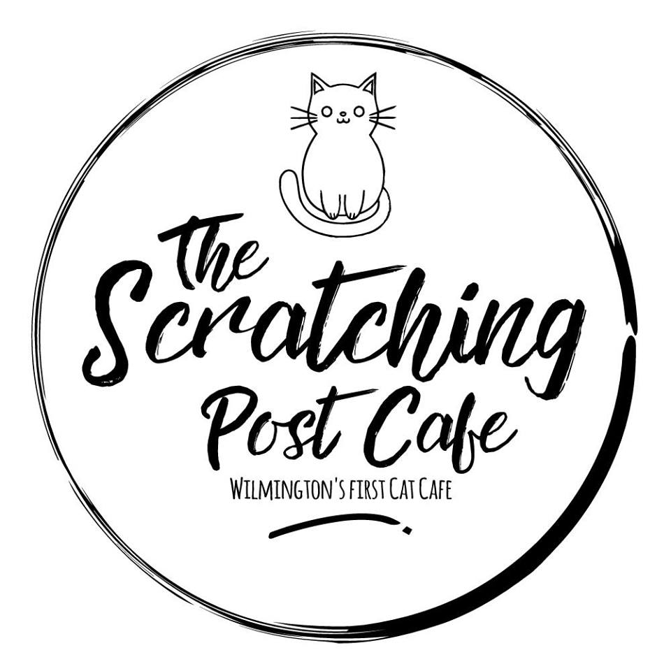 960x960 Grab A Coffee, Rescue A Kitten Wilmington's First Cat Cafe