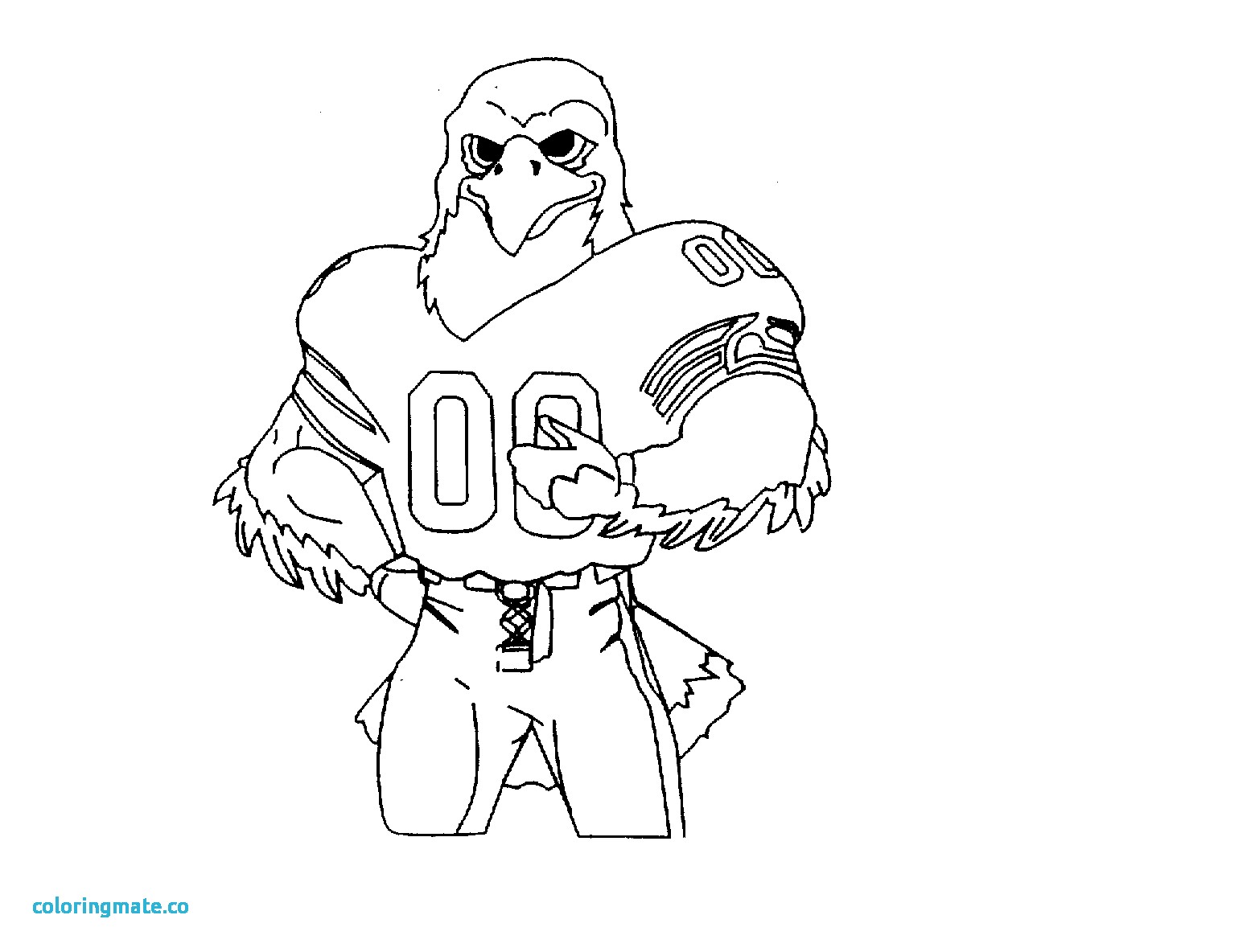 1560x1184 38 Seattle Seahawks Coloring Pages
