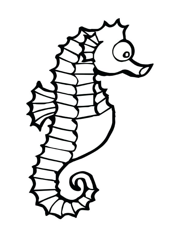 600x776 Cartoon Seahorse Coloring Pages Box Download Free Sea Horse Page 6