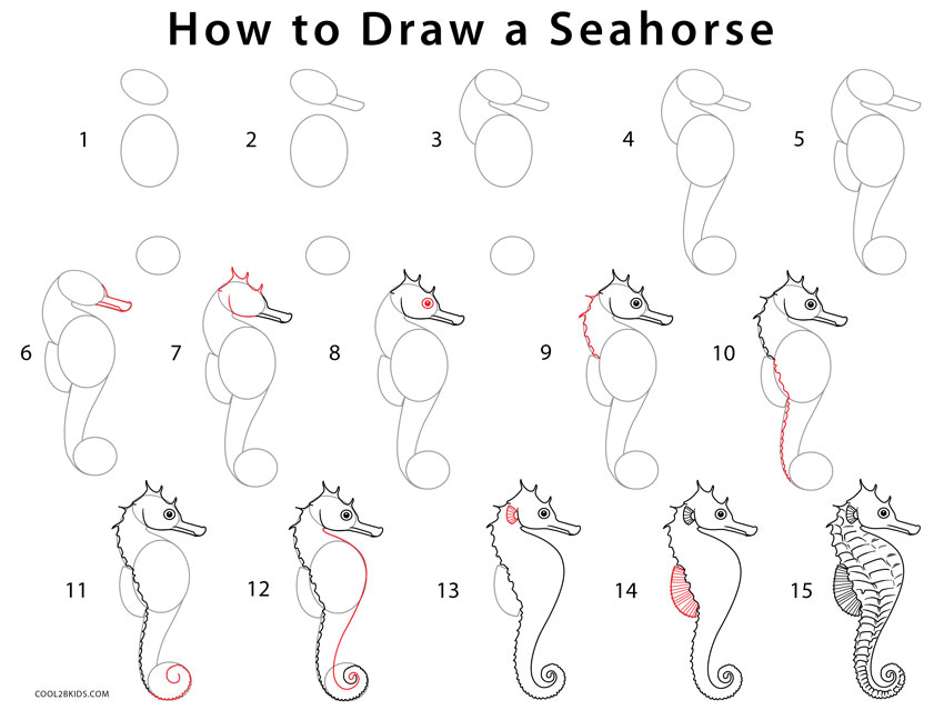 850x639 How To Draw A Seahorse (Step By Step Pictures) Cool2bkids