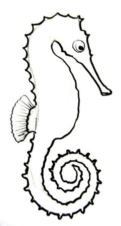 241x450 How To Draw A Sea Horse
